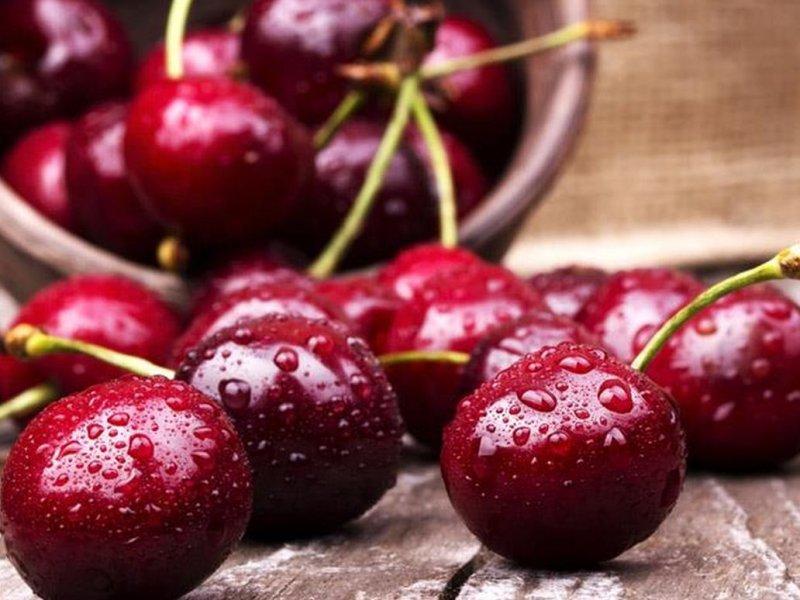 Вишня купить саженцы из питомника в Ливнах